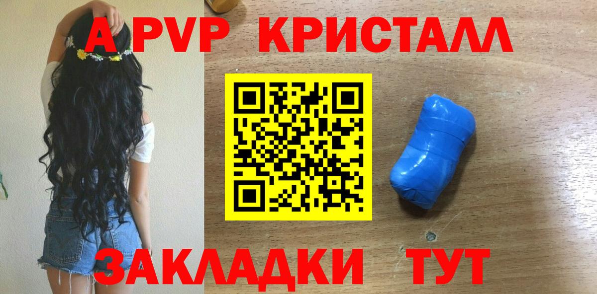 APVP СК Сыктывкар